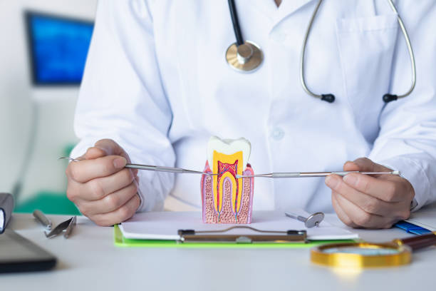 Best Dentist for Severe Toothache  in Salem, NC
